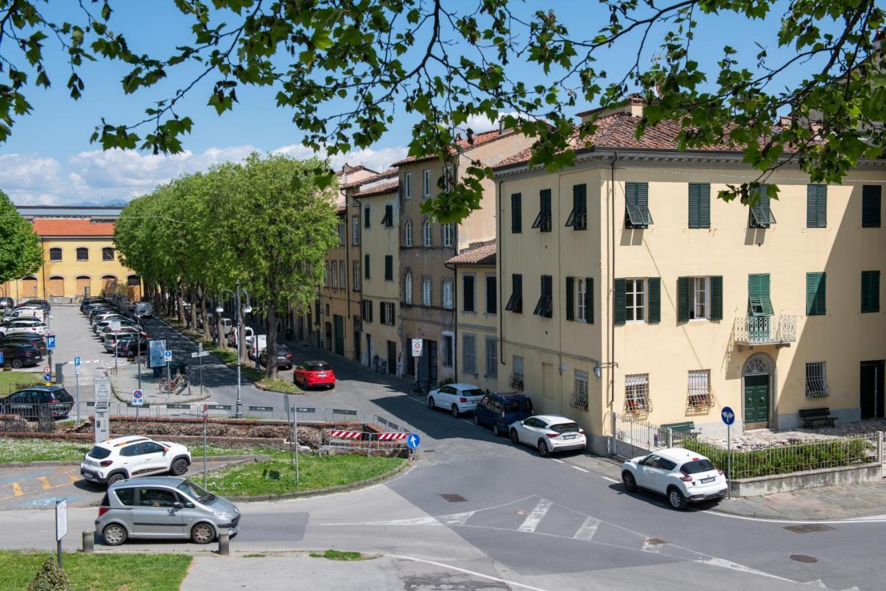 Cittadella *