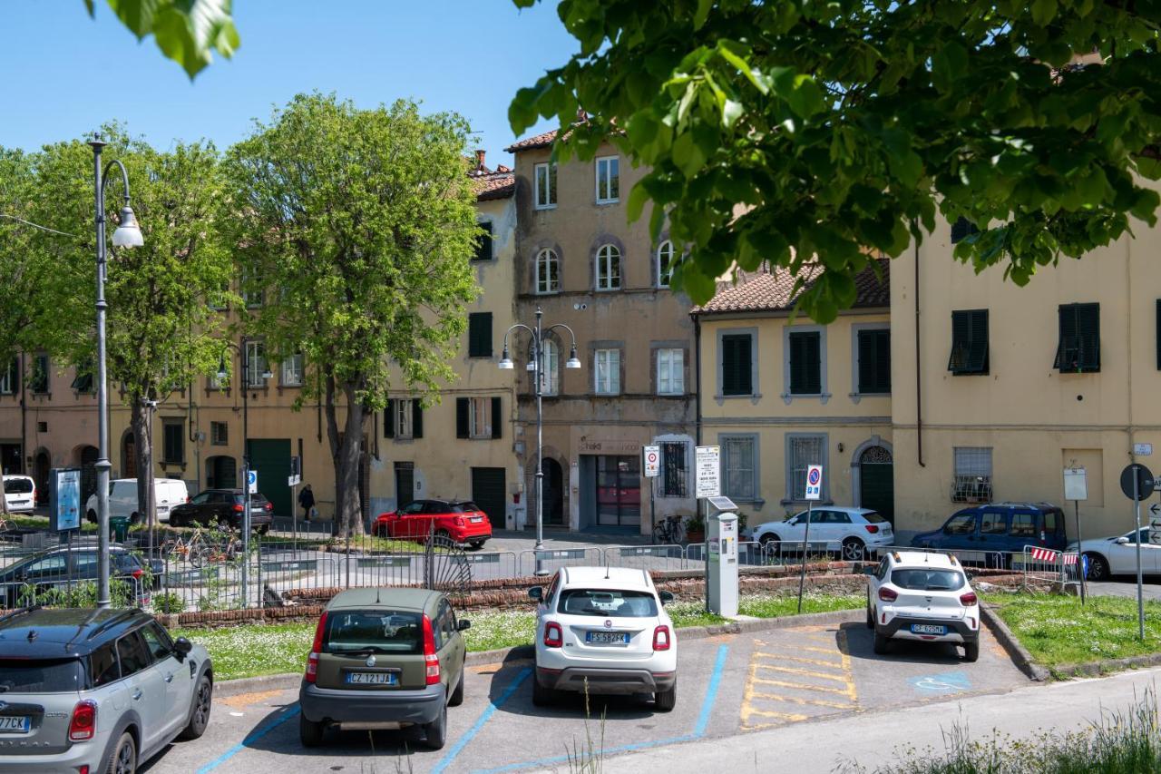 Cittadella *