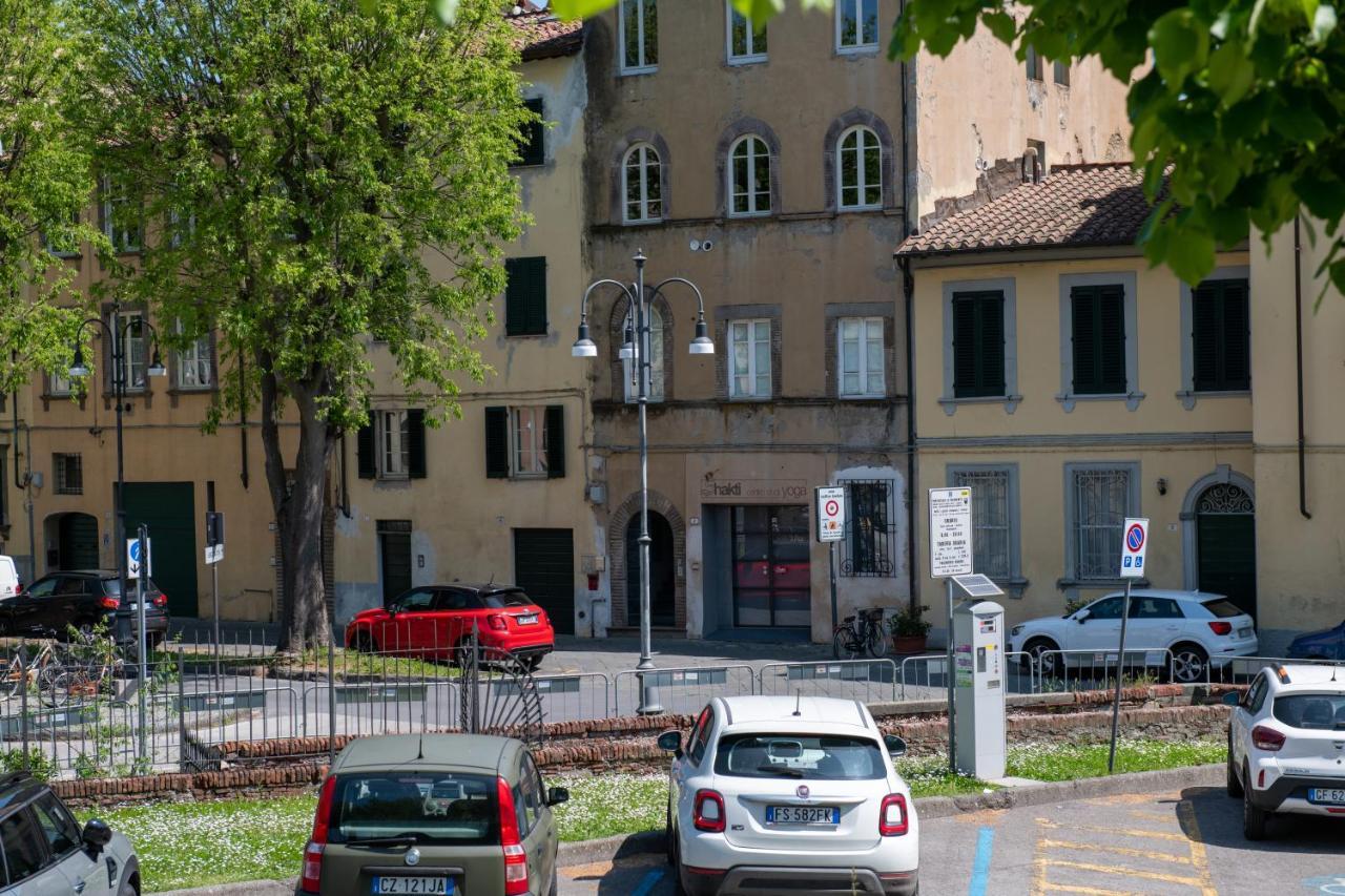 Cittadella *